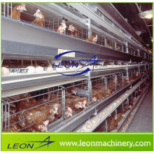 Leon series poultry cage feeding system